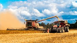 Сбор зерновых в России на 22 ноября превысил 125 млн тонн